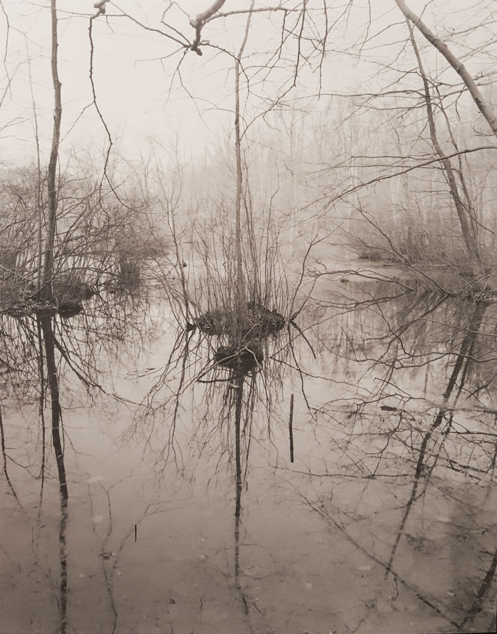 John Yang, Untitled (91-10), 1979