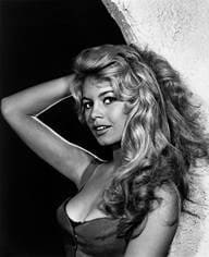 Yousuf Karsh, Brigitte Bardot, 1958