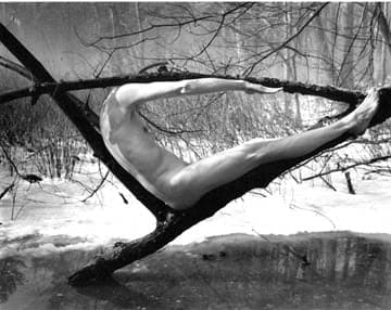 Arno Rafael Minkkinen, Kettlehole Bog, Foster's Pond, 1996