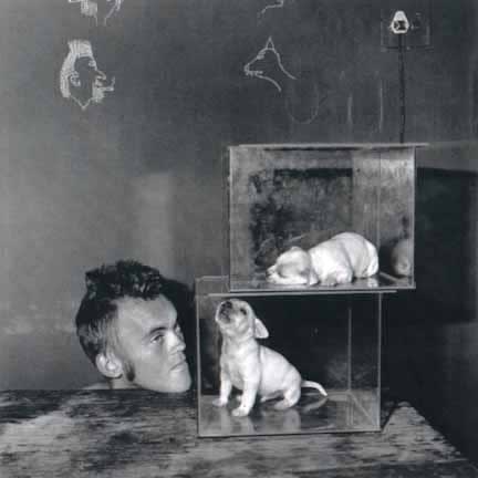 Roger Ballen, Puppies in Fishtanks, 2000