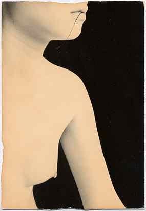 Masao Yamamoto, A Box of Ku (960), 2001