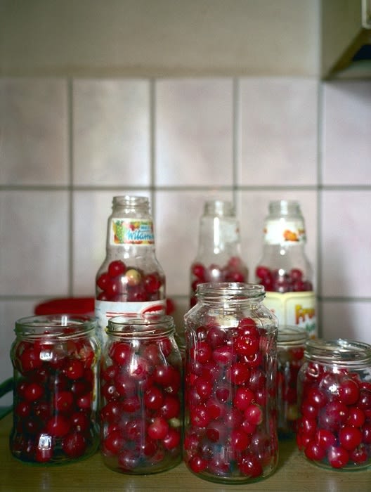 Jessica Backhaus, Cherries, from the series One Day in November, 2002