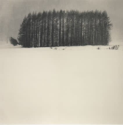 Michael Kenna, Trees in Snowstorm, Wakoto, Hokkaido, Japan