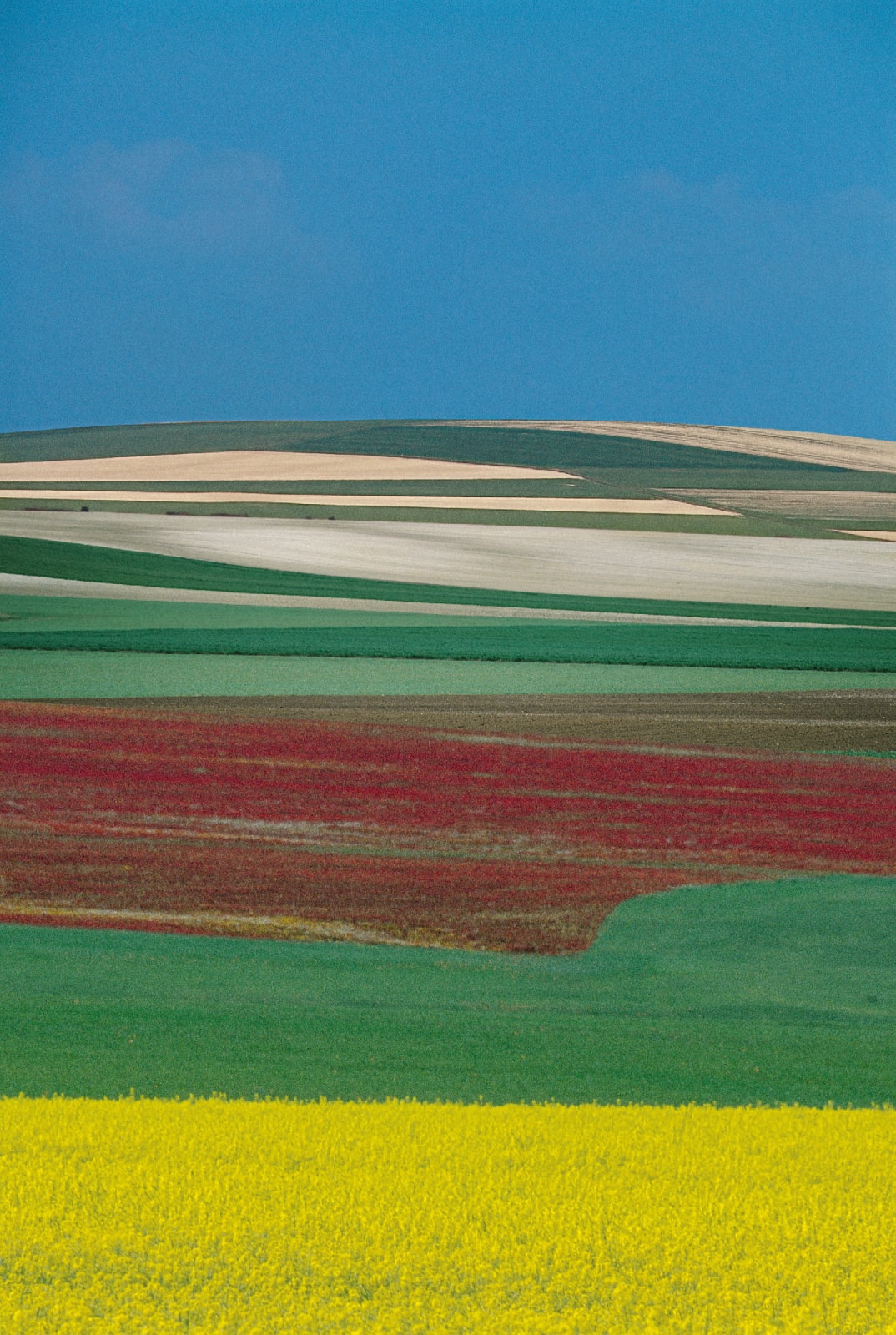 Franco Fontana, Paesaggio Immaginario , 2001