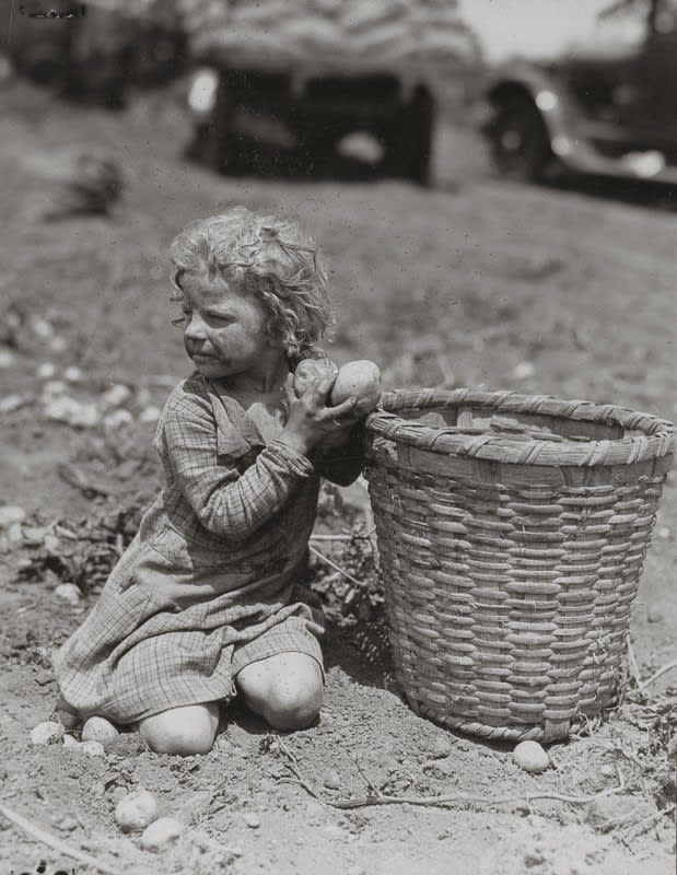 Lewis Wickes Hine, Child Picking Long Island Potatoes, c. 1912
