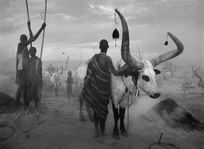 Sebastião Salgado, Dinka cattle camp,(p. 305 AFRICA), neg.06-2-282-71 Dinka Group at Pagarau Cattle Camp, Southern Sudan, 2006