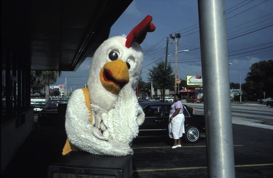 Alex Webb, Lakeland, Florida (person in chicken suit), 1989