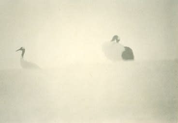 Masao Yamamoto, Nakazora #1351