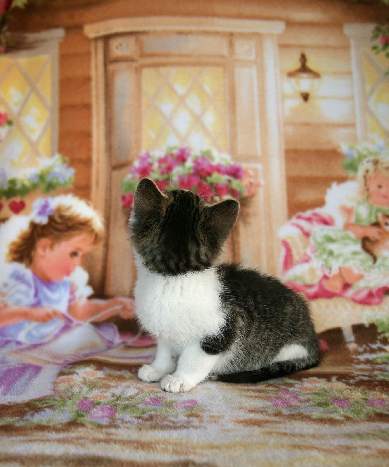 Arne Svenson, Strays 10, 2010