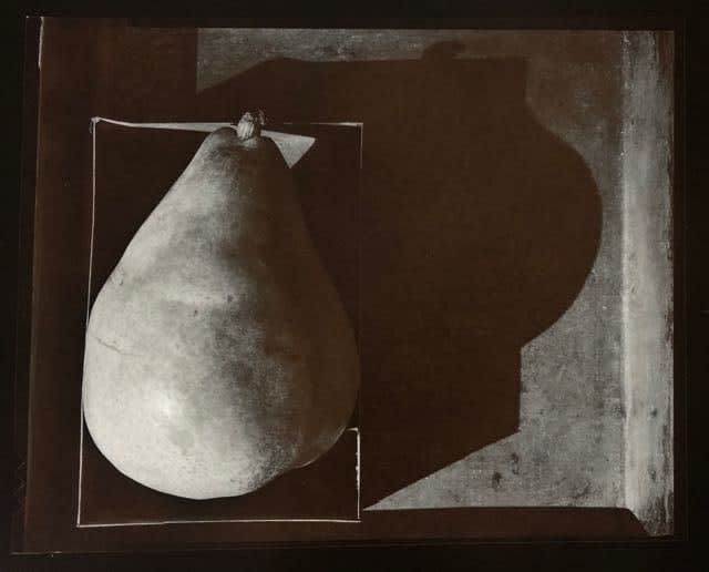 Olivia Parker, Pear (58) from the series Signs of Life, 1976
