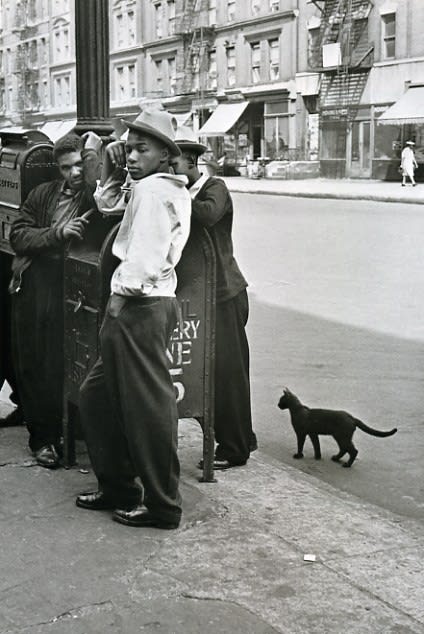 Helen Levitt, Untitled, New York (boys, mailbox, cat), c. 1940
