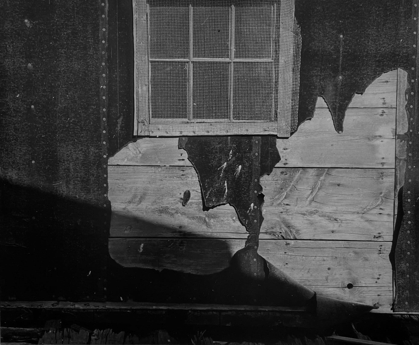 Aaron Siskind, Gloucester (Wire Mesh Window), 1944