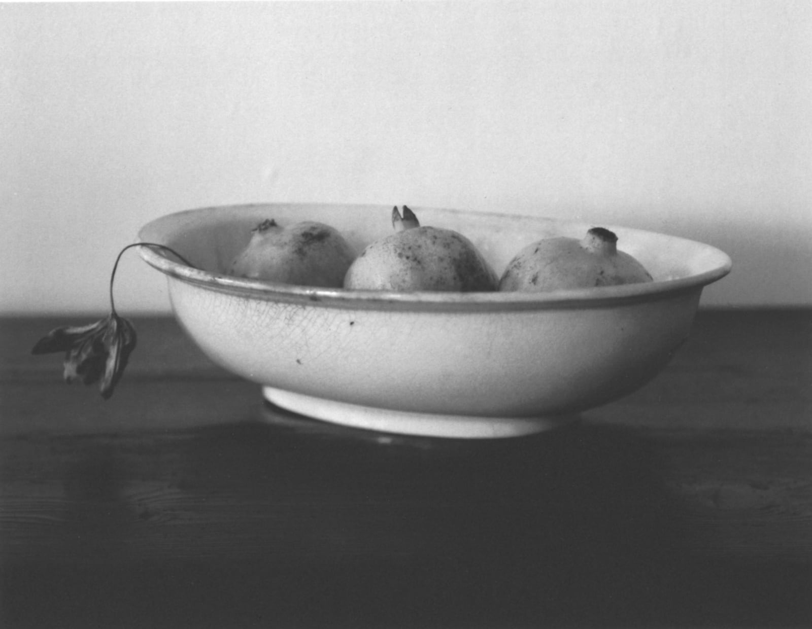 Tomio Seike, Three Pomegranates and a Dried Tulip, 2004
