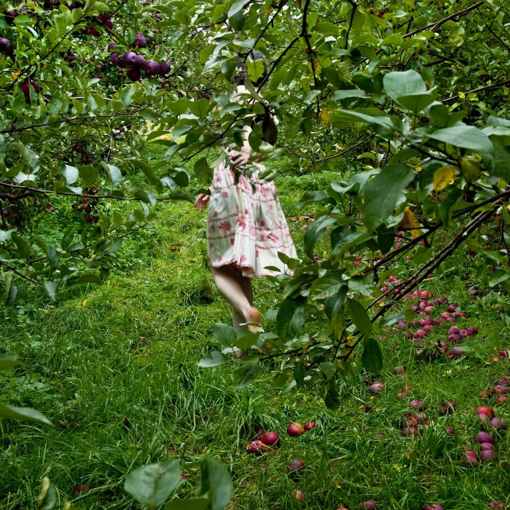 Cig Harvey, The Orchard, 2012