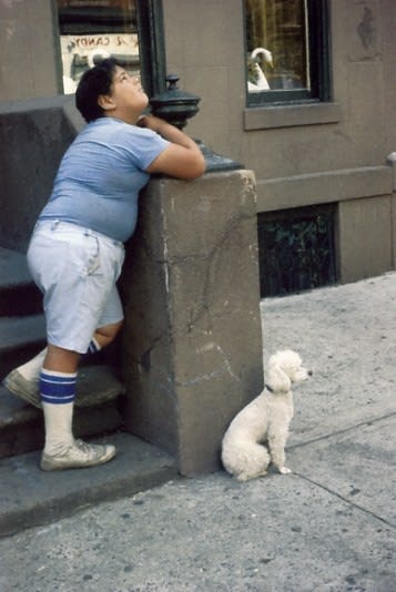 Helen Levitt, Untitled, New York (boy with poodle), 1979