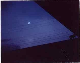 Masao Yamamoto, Nakazora #812