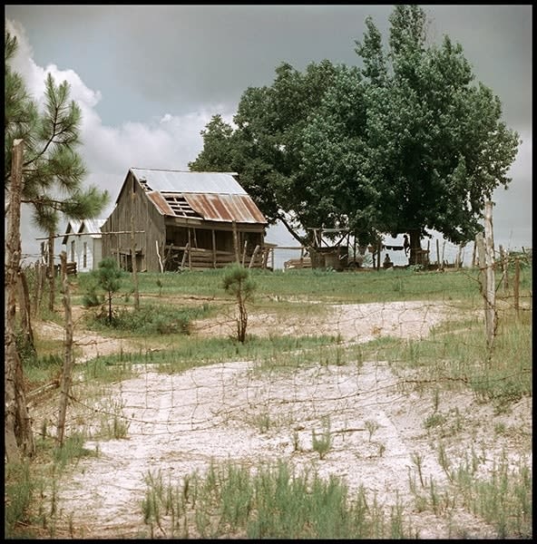Gordon Parks, Untitled (Tenant House), Shady Grove, Alabama (37.032), 1956