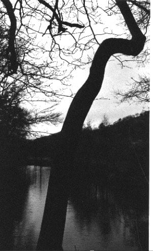 Tomio Seike, WS Waterscape #8 River Nidd