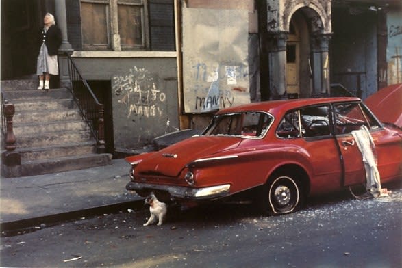 Helen Levitt, Untitled, New York (cat and car), 1974