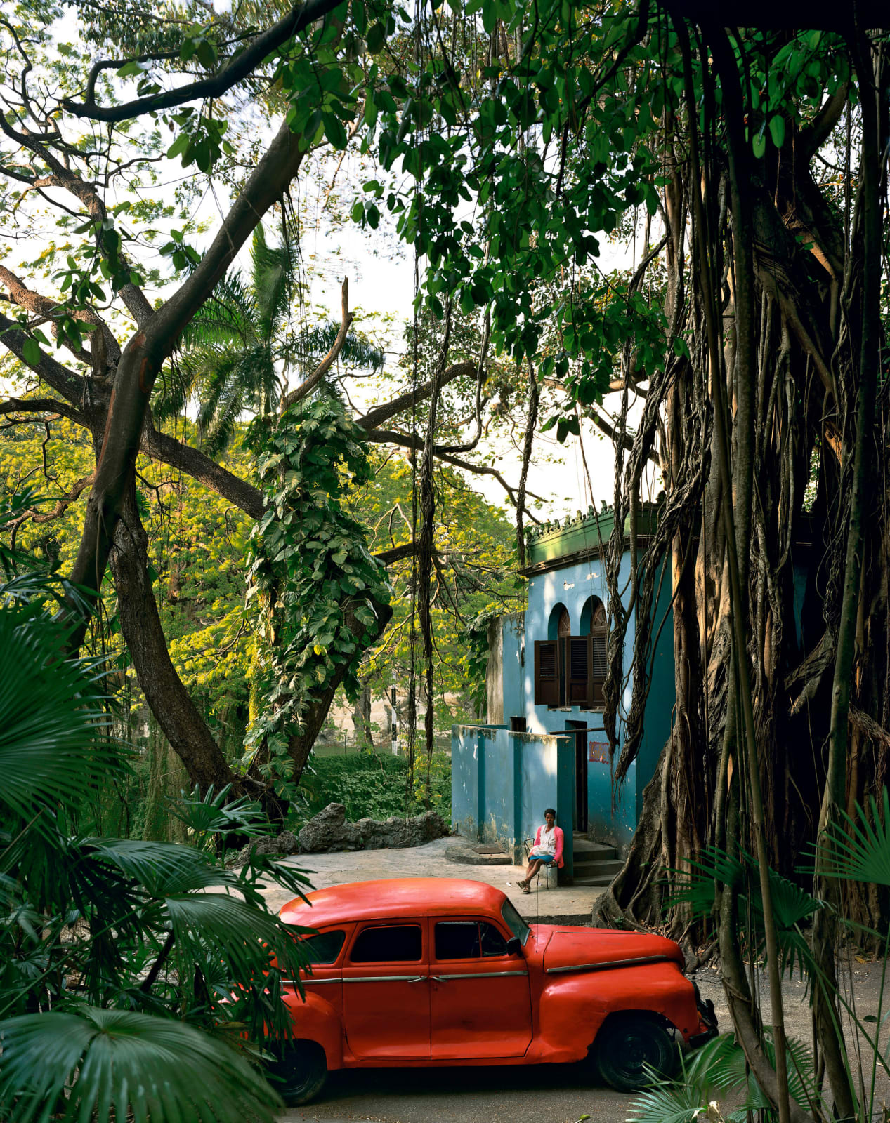 Andrew Moore, Rosa en la Tropical, 1999