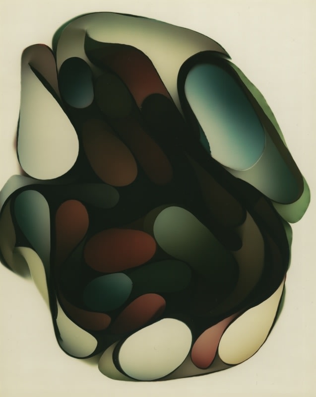 Len Gittleman, Untitled photogram (PGM-48), c. 1980