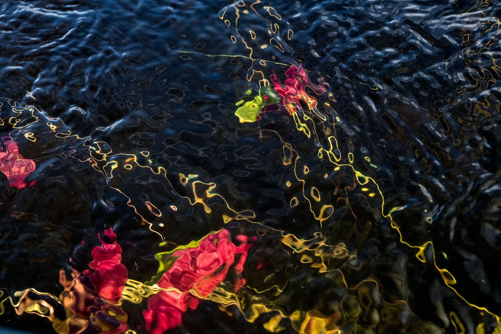 Sage Sohier, Nymphaea 08 (from the series Immersed & Submerged), 2018