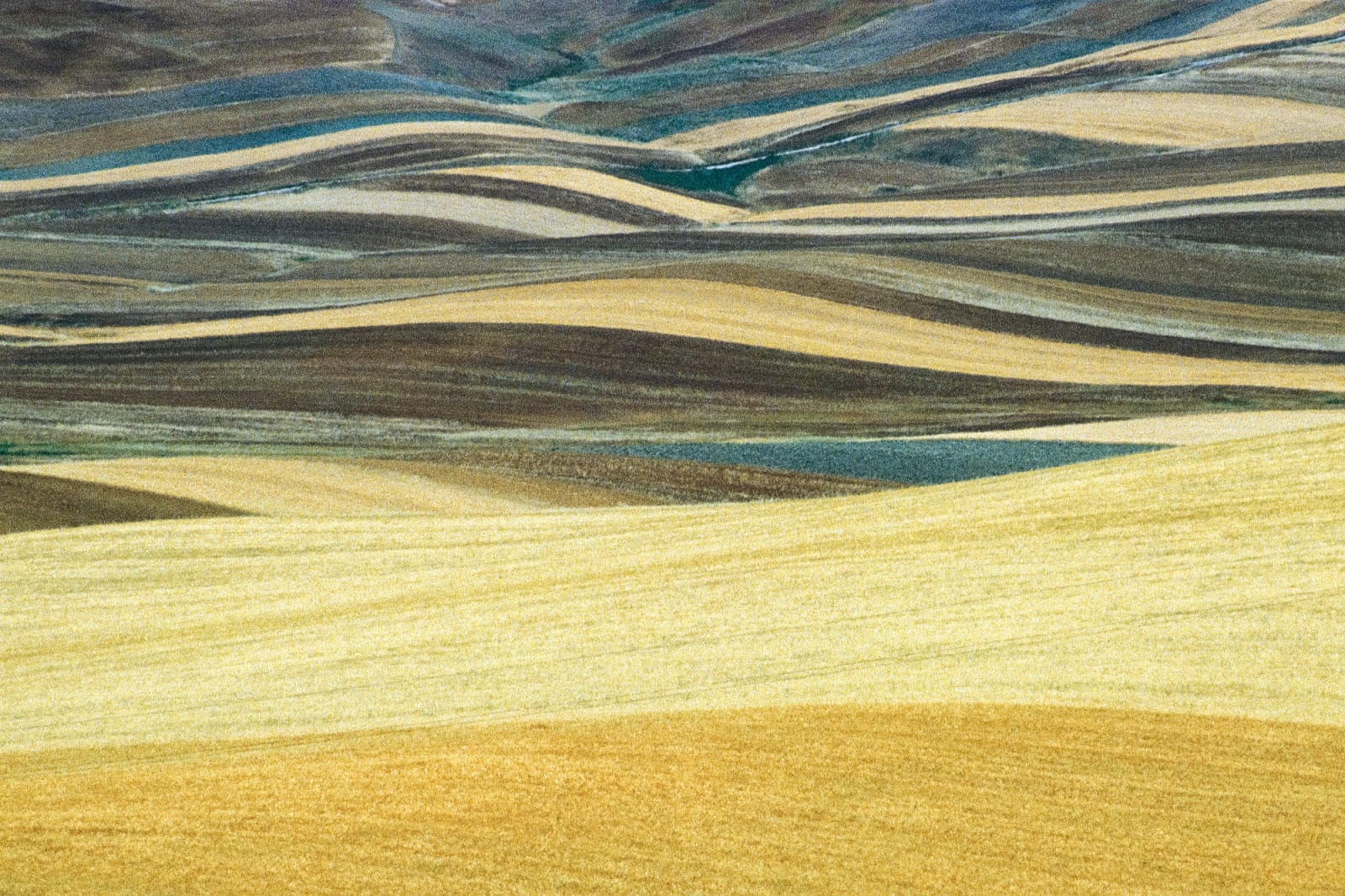 Franco Fontana, Basilicata, 1978