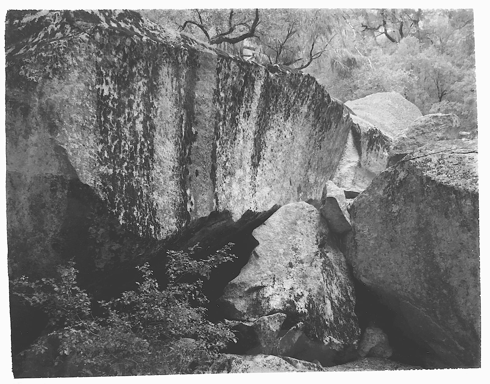 Ansel Adams, Fallen Rock, Yosemite, c. 1962