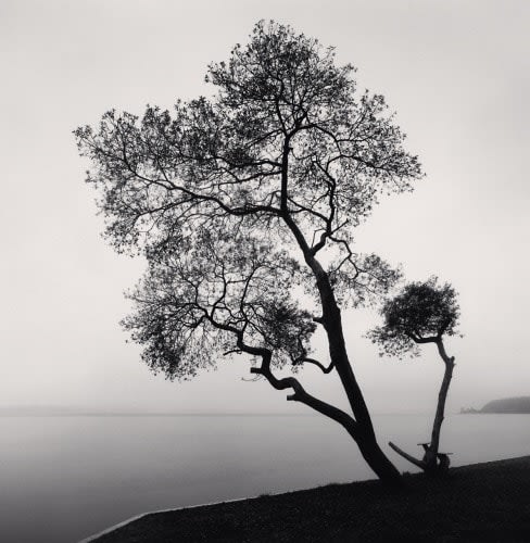 Michael Kenna, Ogawara Lake Trees, Misawa, Honshu, Japan KE1124, 2002