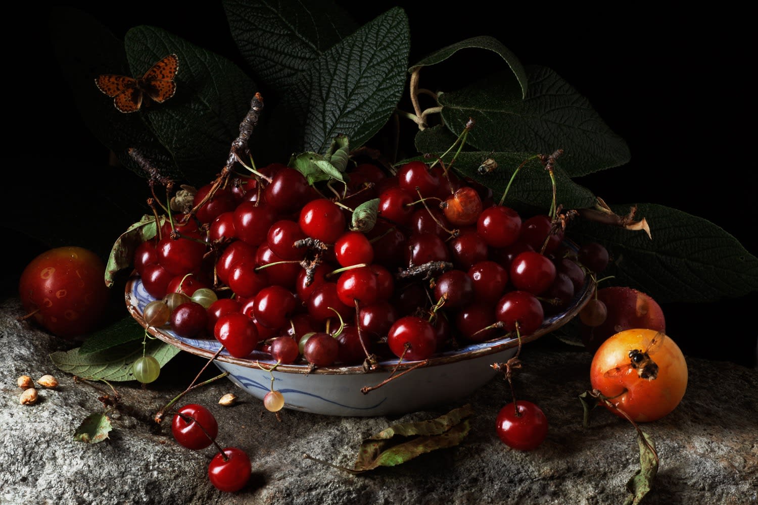 Paulette Tavormina, Red Cherries and Plums, After G.G.,, 2011