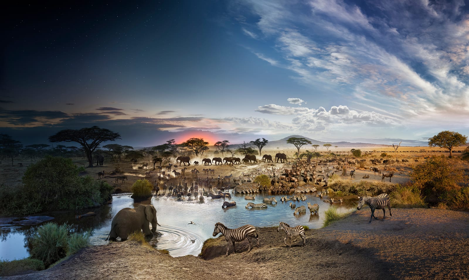 Stephen Wilkes, Serengeti National Park, Tanzania, Day to Night™, 2015