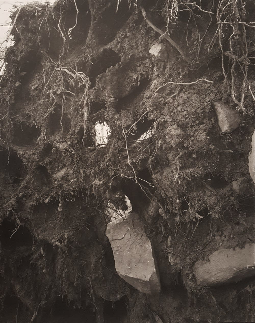 John Yang, Long Pond Preserve, Waccabuc, New York (178-3), 1980