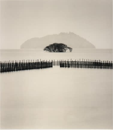 Michael Kenna, Submerged Tree, Kohoku, Honshu, Japan