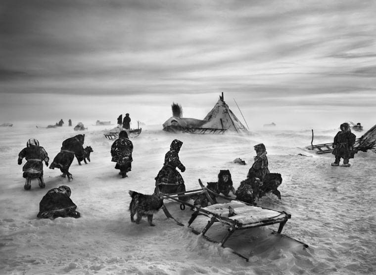 Sebastião Salgado, Nenets, an indigenous nomadic people, whose main subsistence come from reindeer herding, South Yamal region, Siberia, Russia, 2011