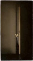 Masao Yamamoto, Nakazora #949, 1999