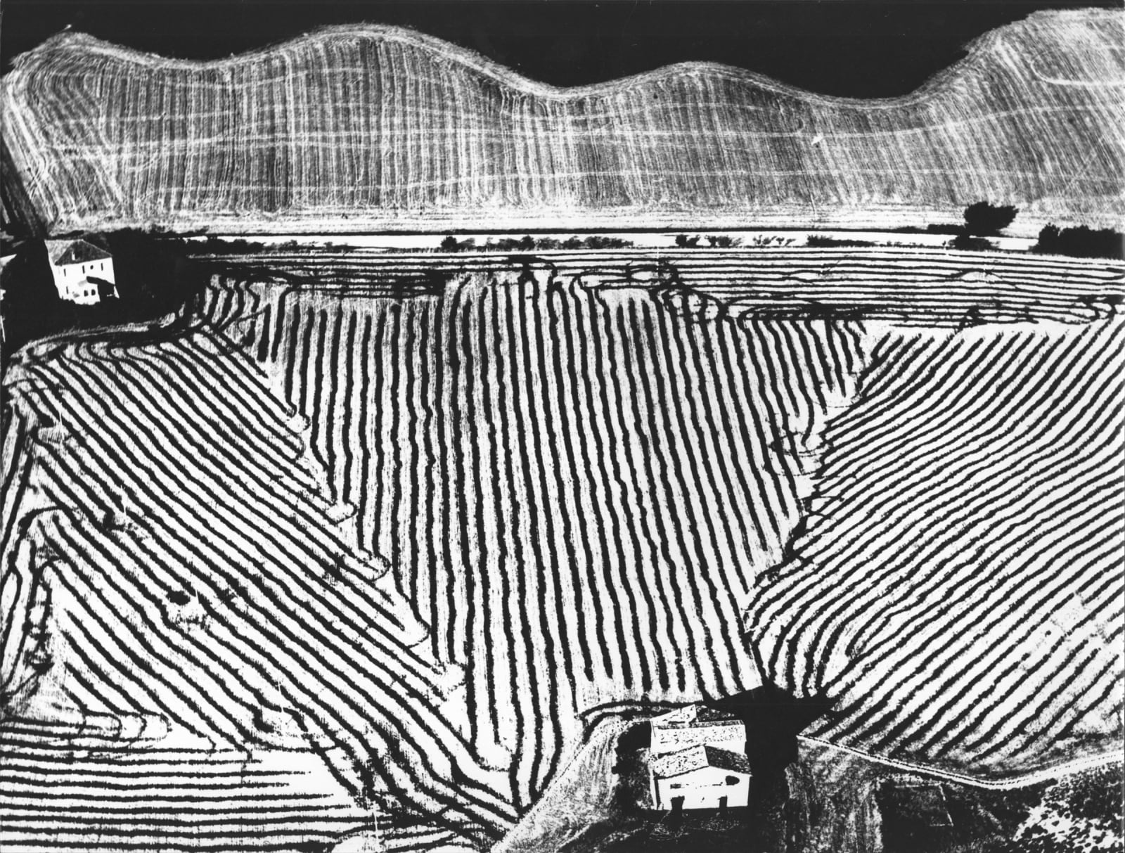 Mario Giacomelli, Paesaggio 288 (from the series On Being Aware of Nature), c. 1970