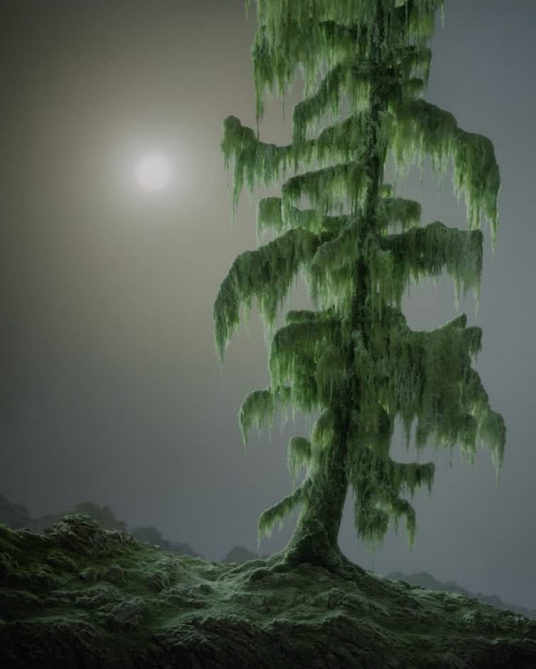 Didier Massard, Winter Tree (The), 2001