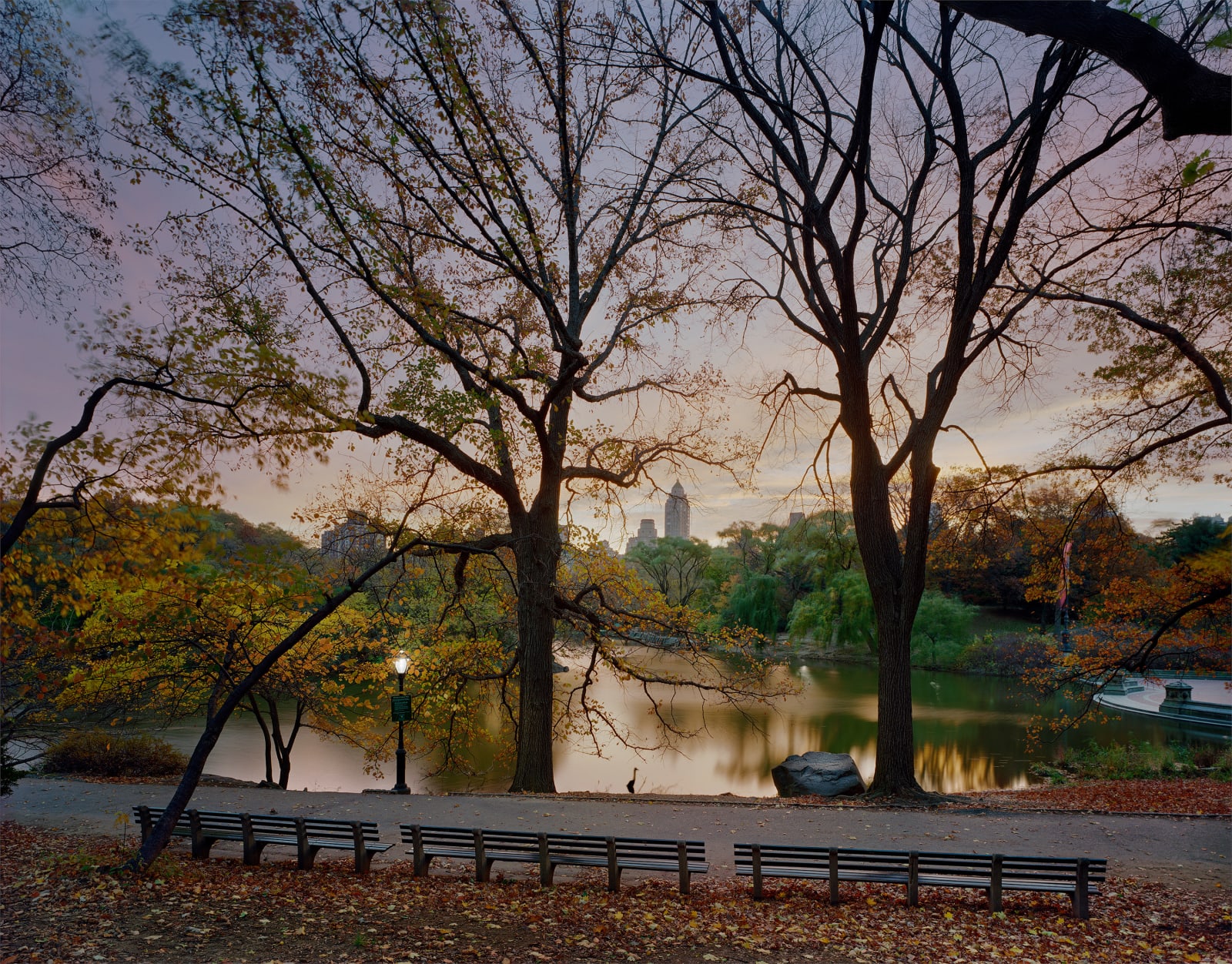 Andrew Moore, Heron Central Park, 2004