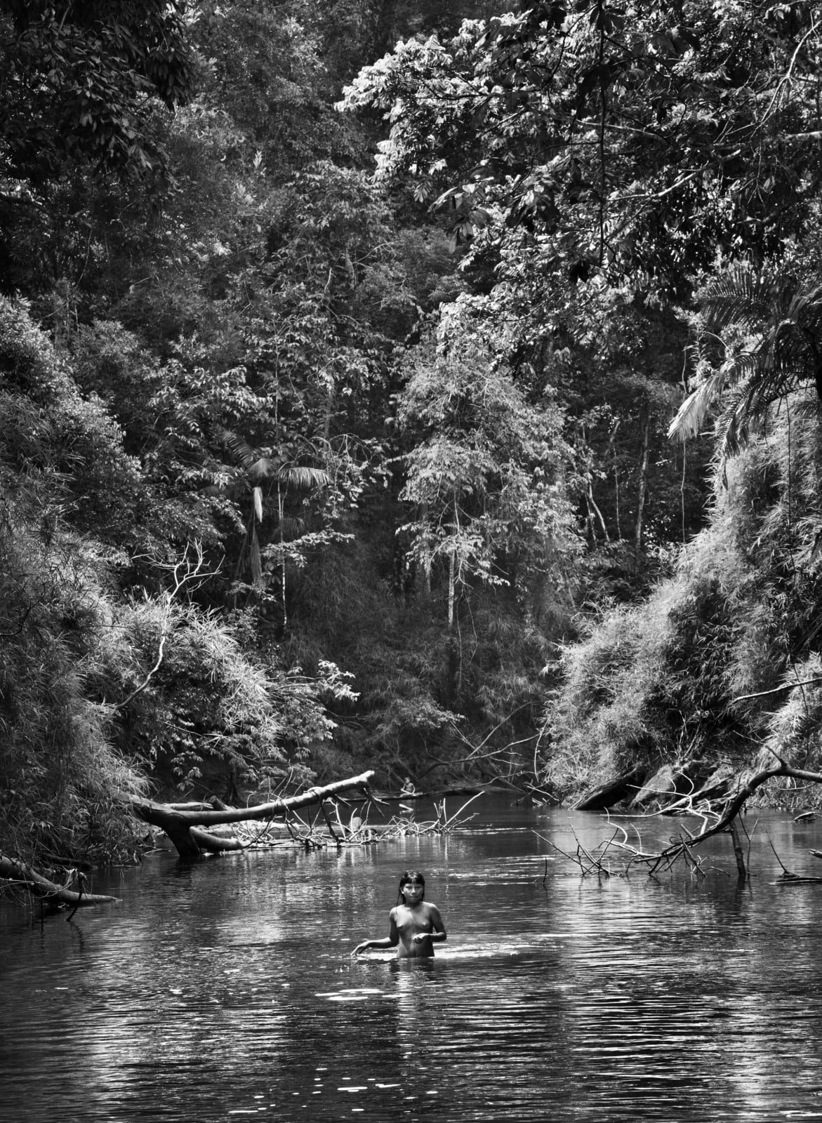 Sebastião Salgado, Suruwahá Indigenous Territory, State of Amazonas, Brazil (17-01-12051), 2017