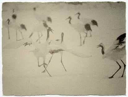 Masao Yamamoto, Nakazora #1350