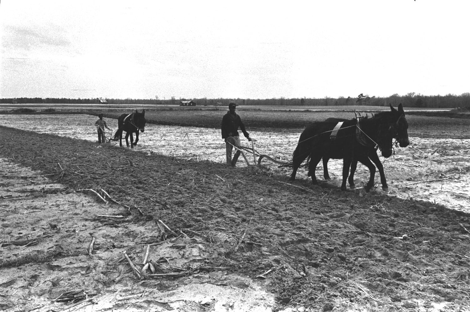 Constantine Manos, Untitled, Sharecroppers, South Carolina (two men and mules plowing), 1965