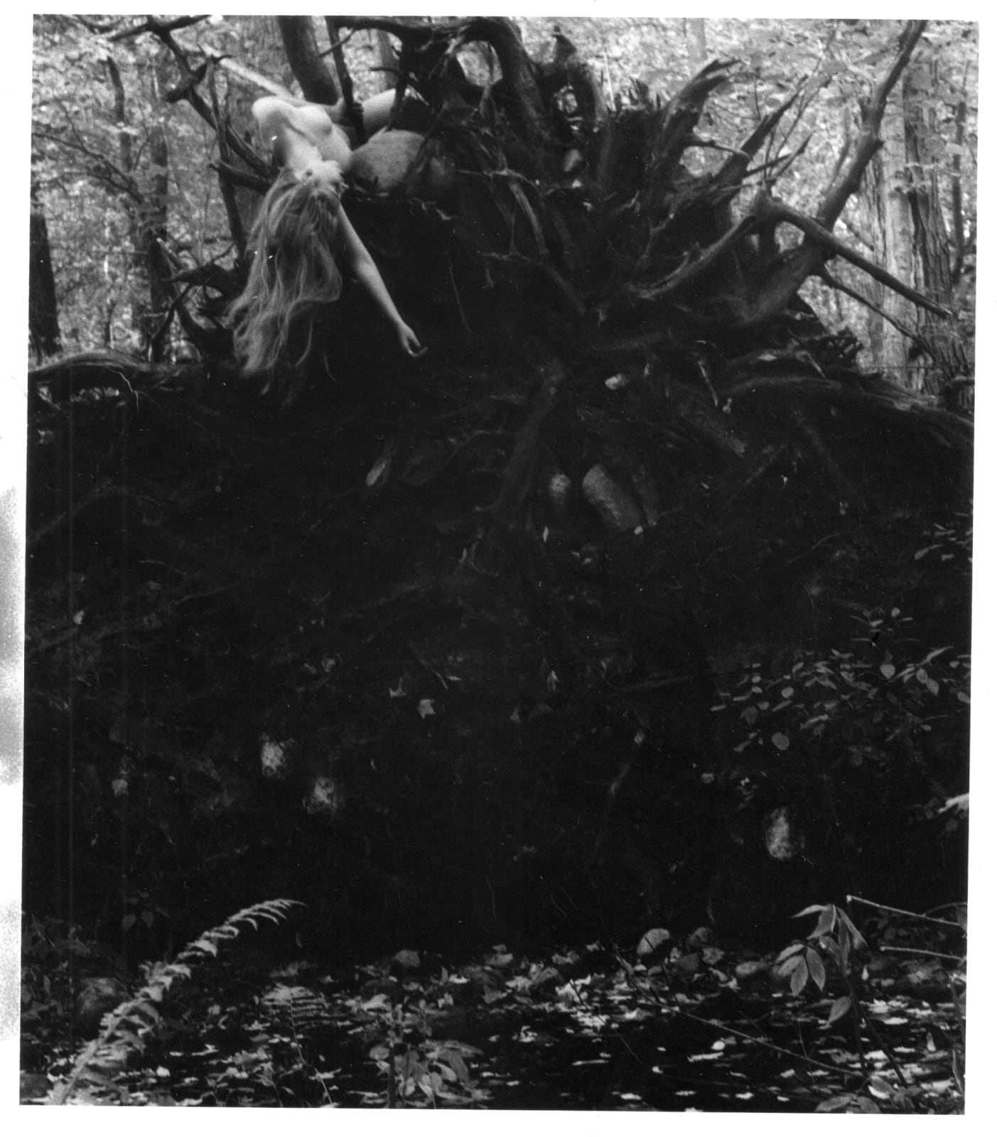 Francesca Woodman, Untitled-Francesca, tree roots. Andover, Massachusetts, 1972-74
