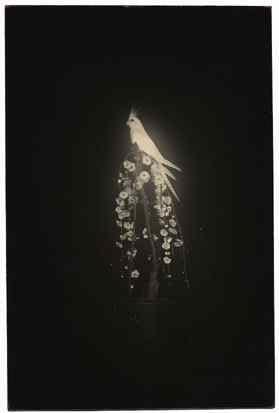Masao Yamamoto, Nakazora #1278, 2002