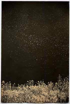 Masao Yamamoto, Nakazora #1025