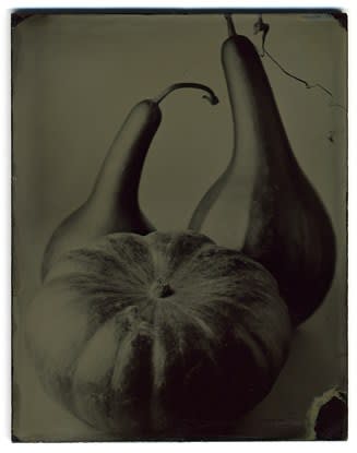 Tom Baril, Pumpkin and Gourds (AMB), 2002