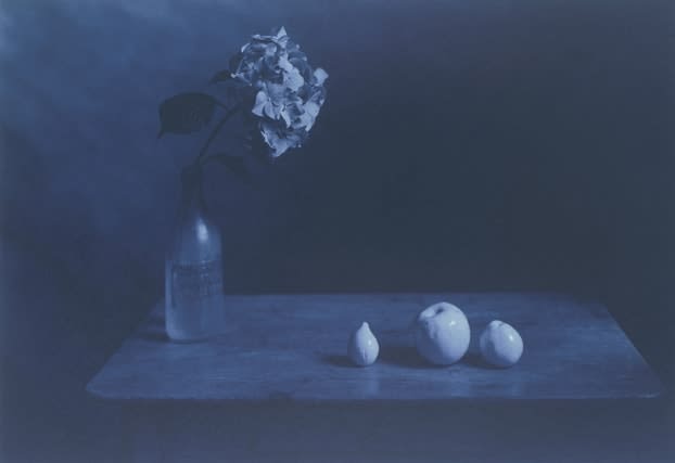 Kenro Izu, Blue #1123B, 2004