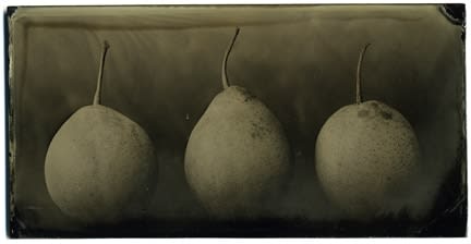 Tom Baril, Three Asian Pears (AMB), 2003