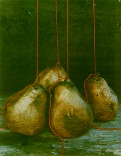 Olivia Parker, Four Pears, 1979