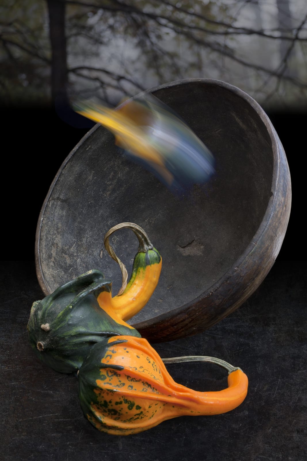 Olivia Parker, Dark Bowl and Gourds, 2011