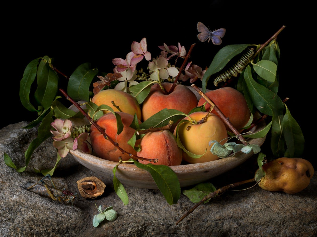 Paulette Tavormina, Peaches and Hydrangeas, After G.G., 2015